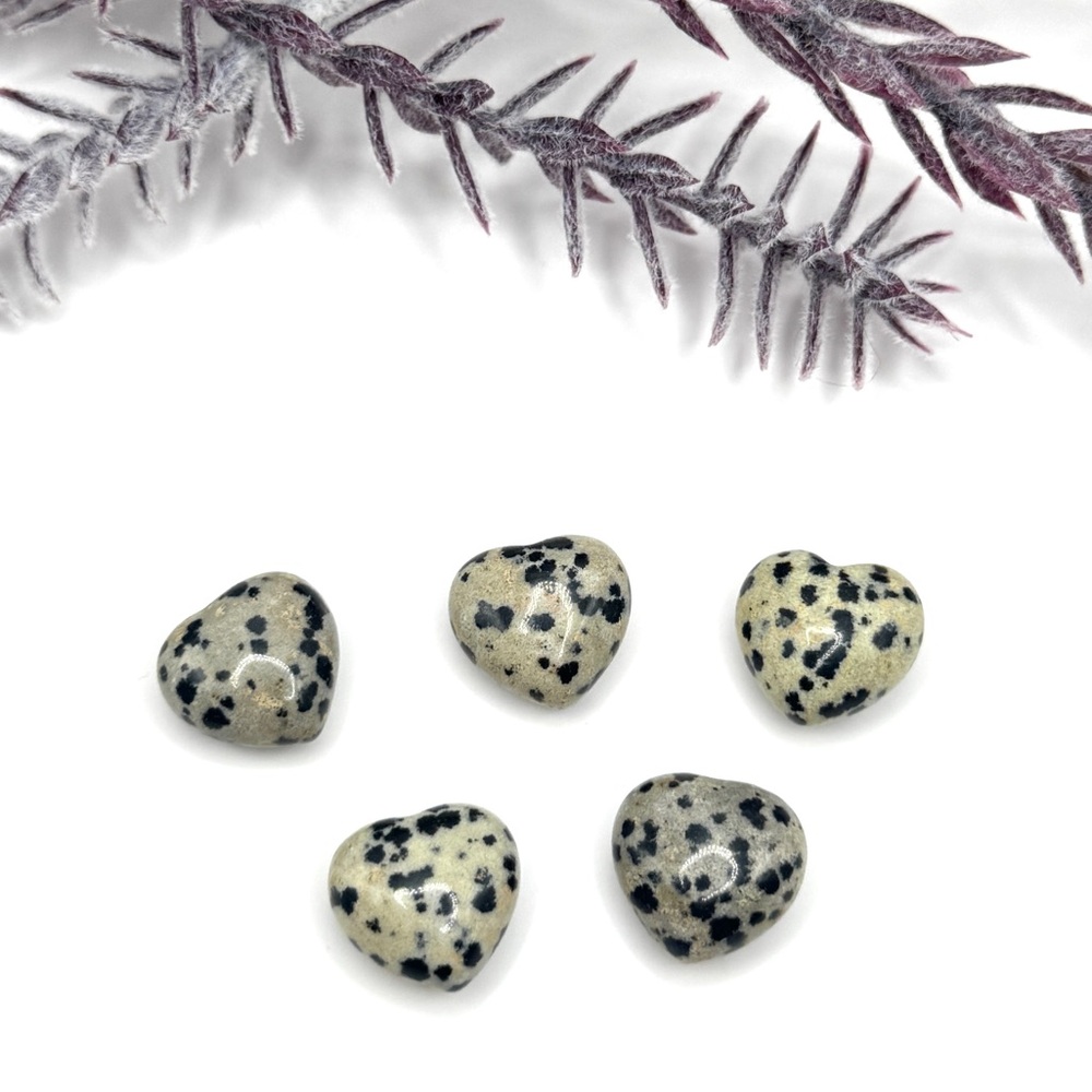 ❗️Small Dalmatian Jasper Crystal Heart